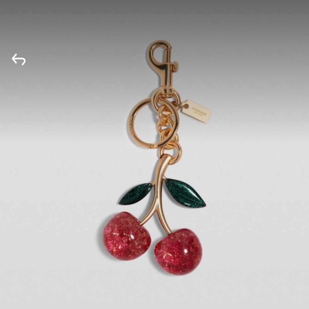 NWT Coach Cherry Bag Charm